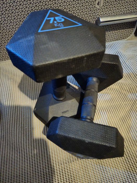 Par de Halteres Sextavados 7,5kg – Como Novos