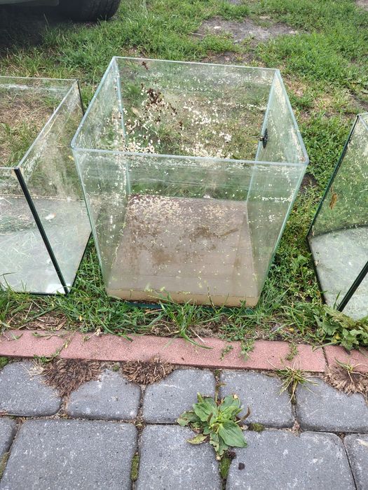 Akwaria szczelne. Do doczyszczenia