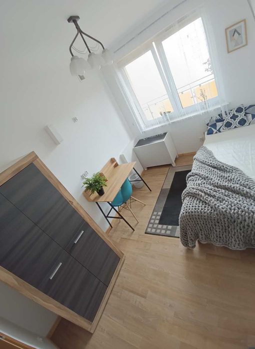 Atrakcyjne mieszkanie na wynajem, 3 pokoje, Poznań - Widok 3