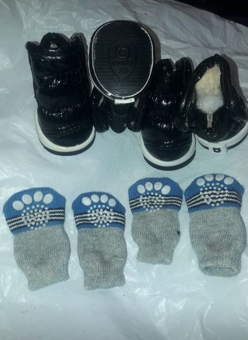 Взуття для котів, собак