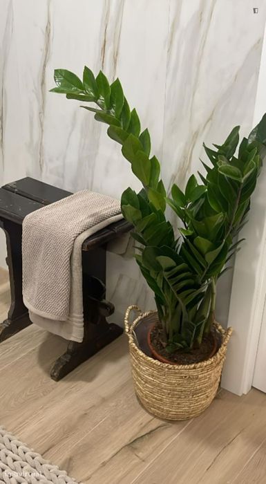 Apartamento com 2 quartos - localizado em Santarem