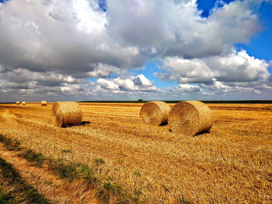 Słoma rolki 150/120