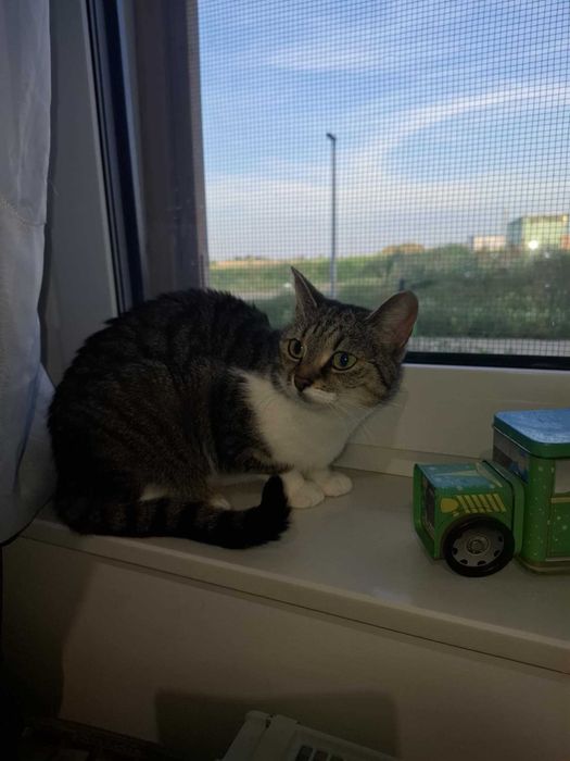 Daj LUNIE spokojny, kochający dom, w którym będzie jedynaczką