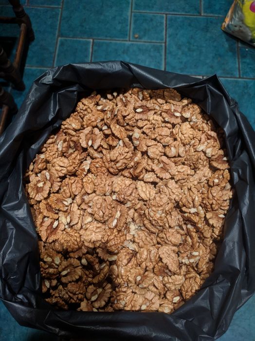 Грецький горіх світлий метелик