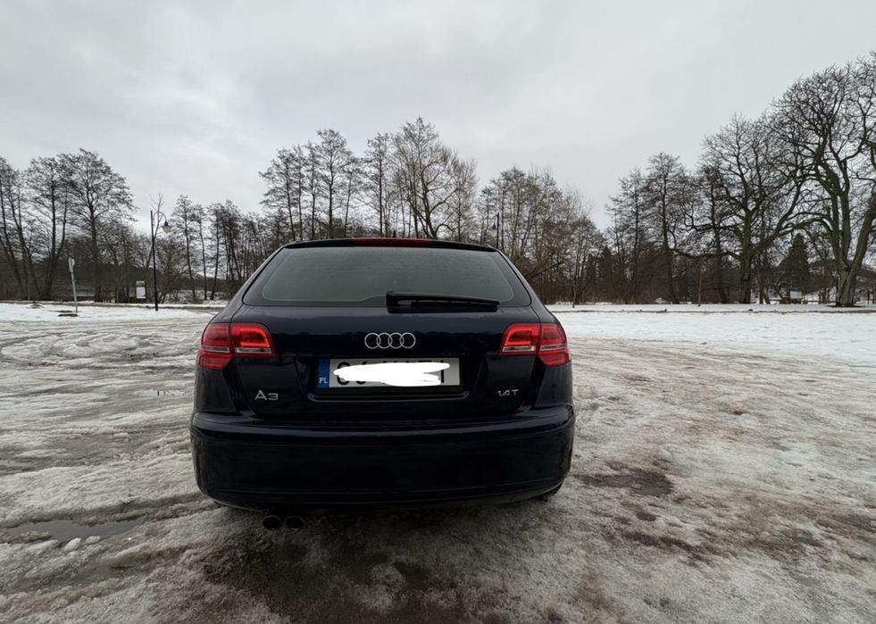 Audi a3 8p zewnetrzny s line