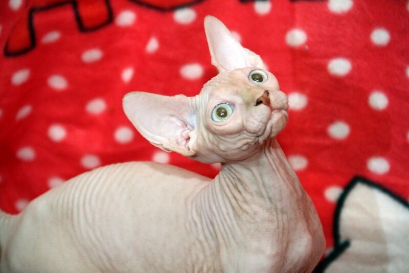 Супер красивые малыши