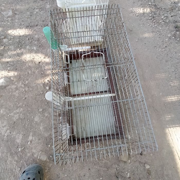 Gaiolas para canários