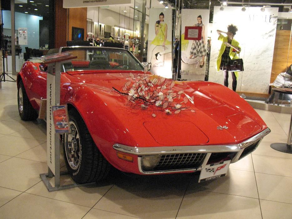 Młodzi samodzielnie Mustangiem-Camaro-Corvette-Merc