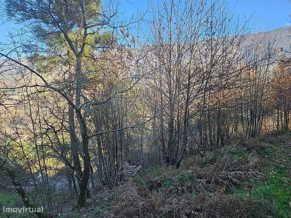 Terreno  para venda