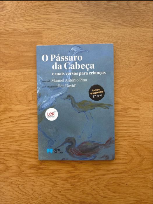 livro o passaro da cabeca
