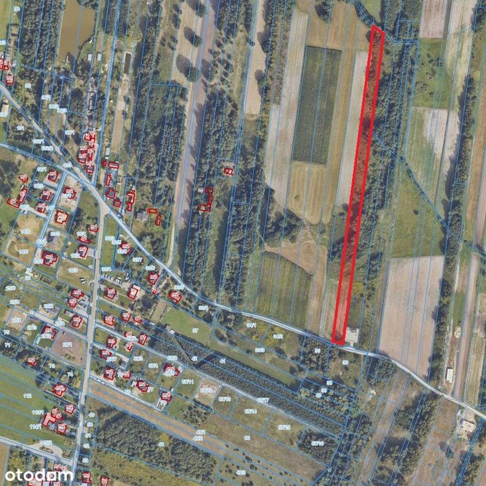Sprzedam działkę rolno – budowalną położoną w Janowie w gm. Skaryszew - Widok 5
