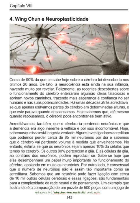 Wing Chun - Uma Arte de Vida