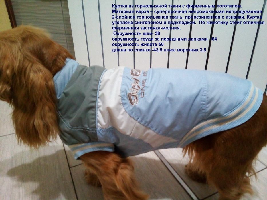 Комбинезон, дождевик, куртка, жилет, костюм