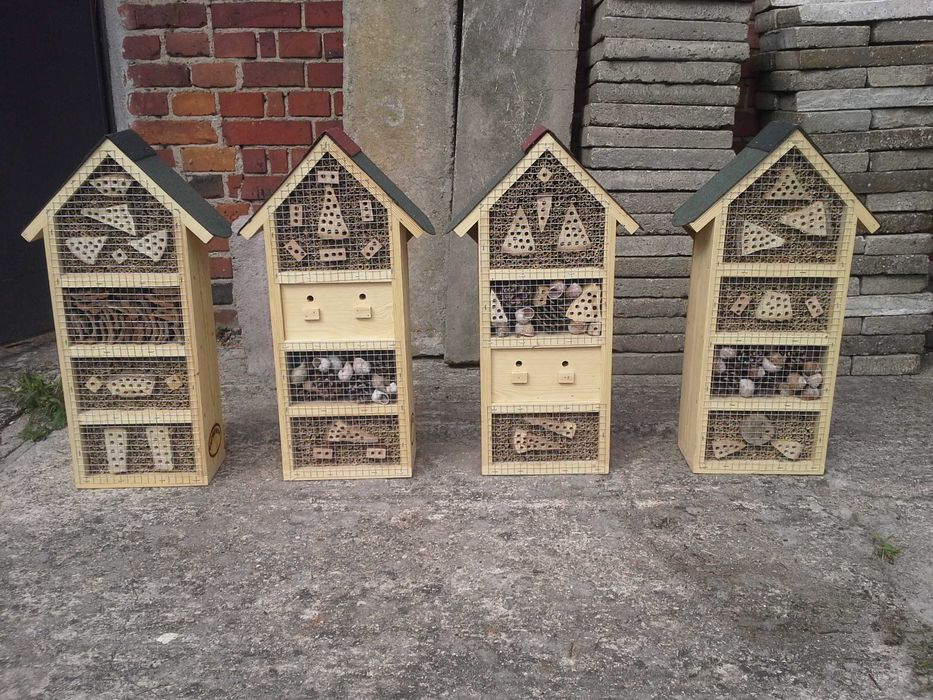 pszczoła murarka rogata ul domek dla owadów zapylających