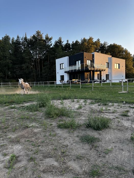 Pokokoje do wynajecia