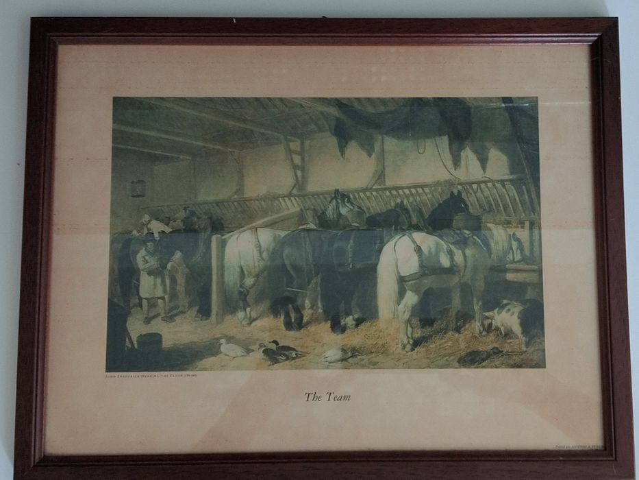 Quadro impresso com cavalos 43x33 cm