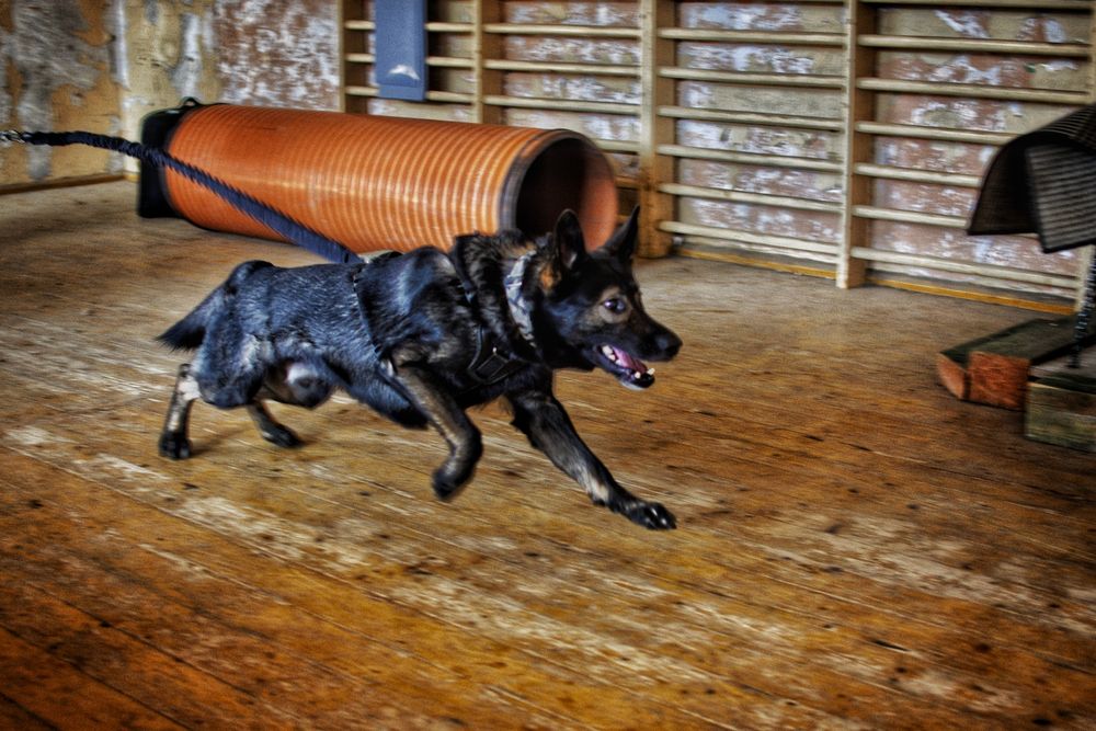 Sigma 10-20 mm f/4-5.6 EX DC HSM Nikon