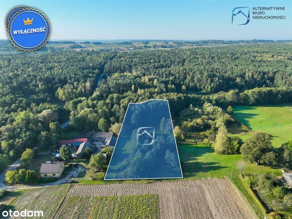 Unikatowa działka z wydaną WZ- Borów Kolonia