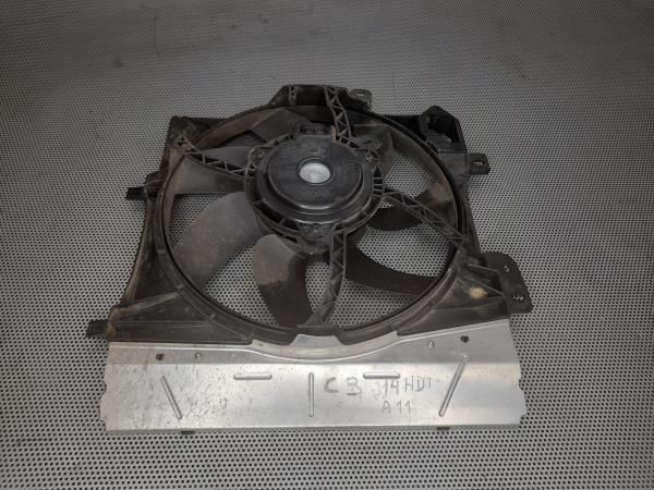 Termoventilador / motoventilador CITROËN C3 II (SC_)