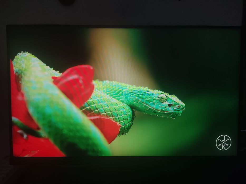 Monitor ViewSonic XG2431 240Hz 24"