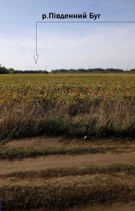 Земельна ділянка 12 соток біля річки Південний Буг (Летичів)