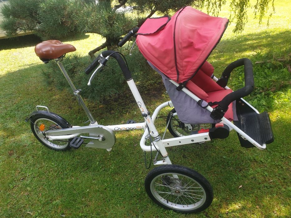 CANGOO  rower specjalny terapeutyczny trójkołowy + riksza