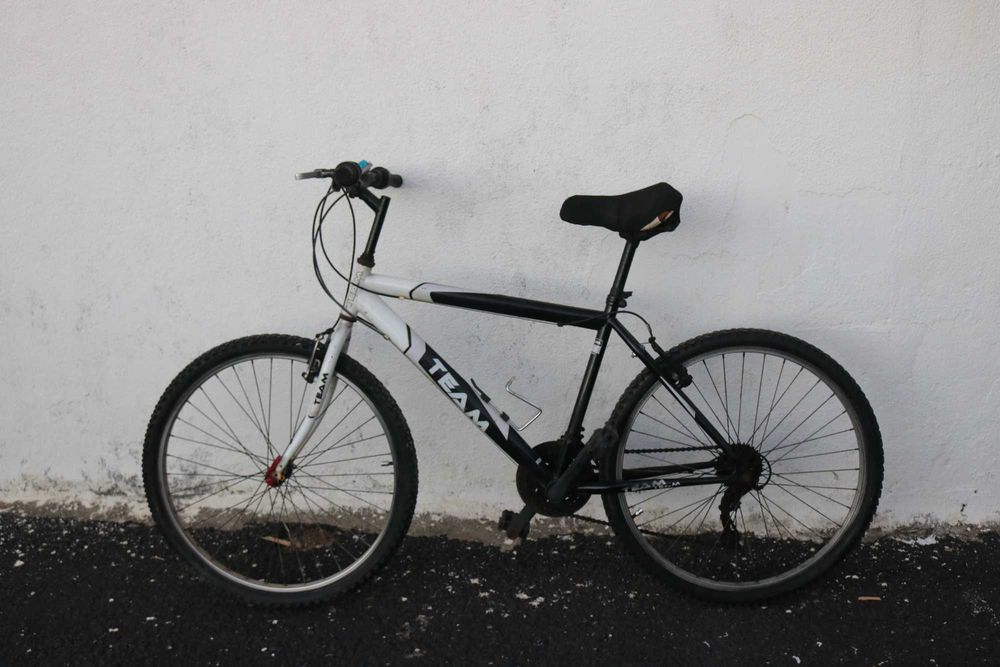 Bicicleta de Adulto