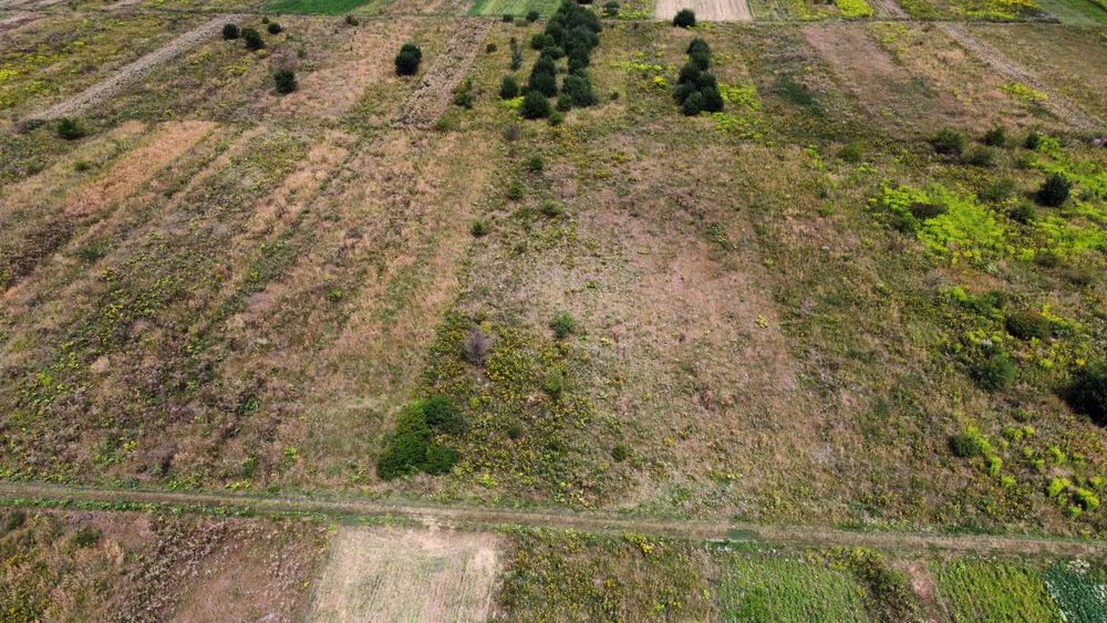 Продається земельна ділянка. Площа 27,5 сотих. Загвіздя. Урочище Гори