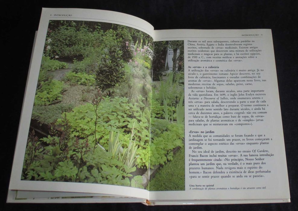 Livro Guia Prático Plantas Aromáticas Lesley Bremness
