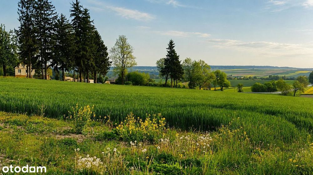 Wspaniała panorama każdego dnia | Działka budowlana 3010 m² Tarnawatka