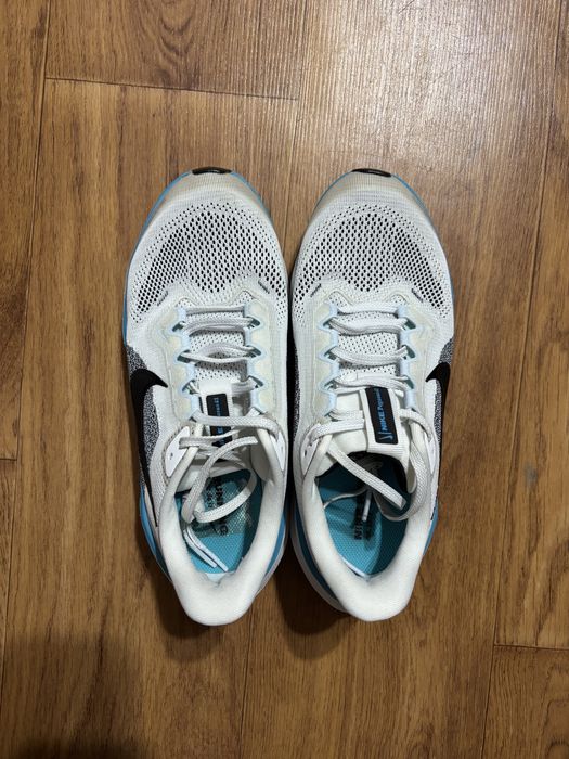 Кросівки Nike Air zoom pegasus 41