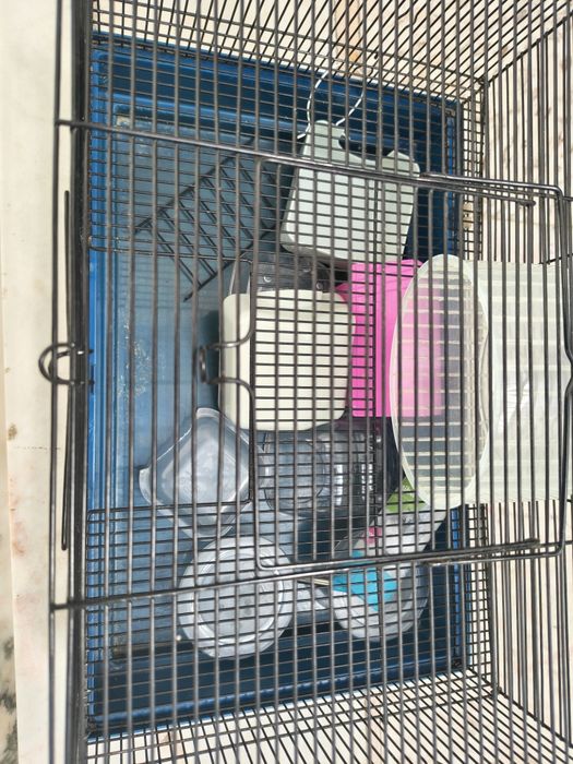 Gaiola para roedores (ratinhos ou coelho pigmeu)