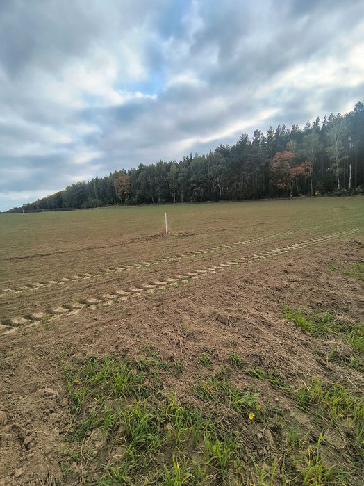 Sprzedam działki przy lesie Sulnowo - Więcej