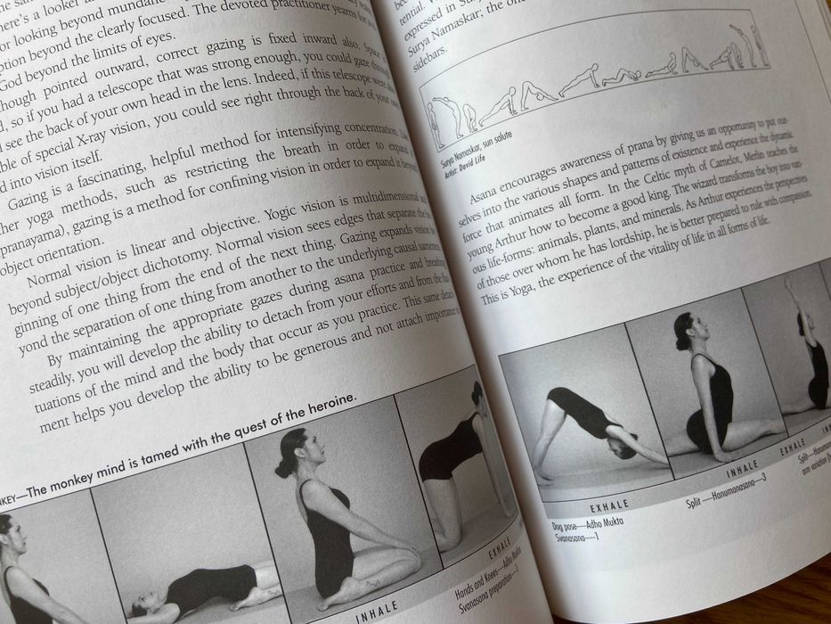 "JIVAMUKTI YOGA" by Sharon Gannon and David Life