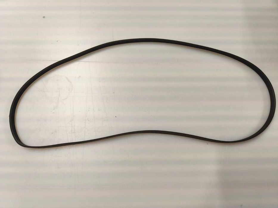 5EPJ1233 Correia / Belt