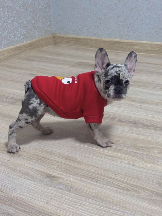 Малятка чекають на люблячих батьків