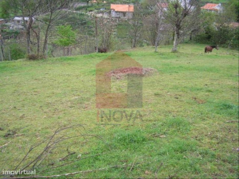 Terreno, Aboim da Nóbrega