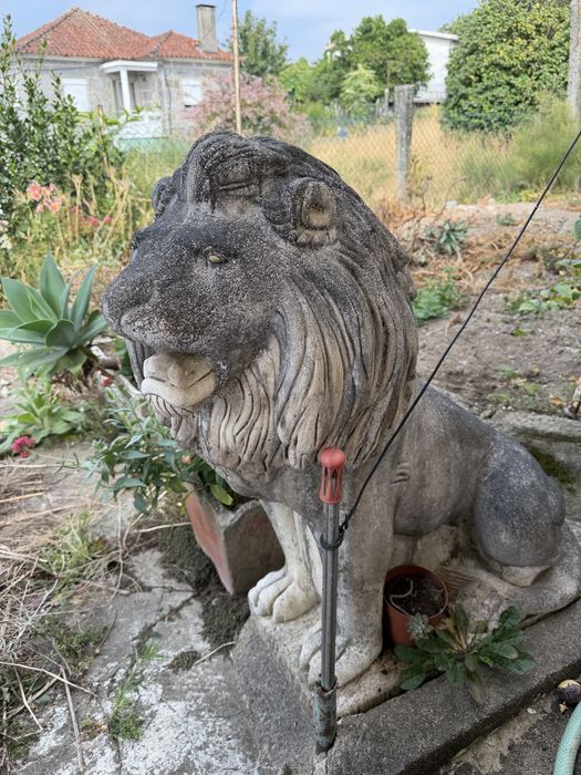 Estatua de leao