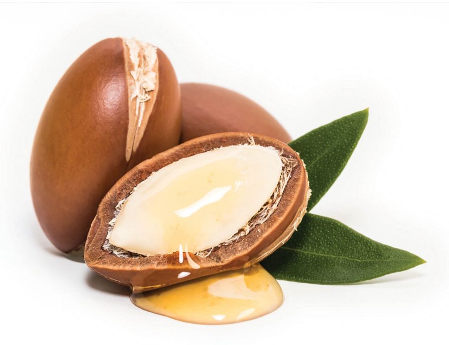 Árvore rara Argão Marrocos