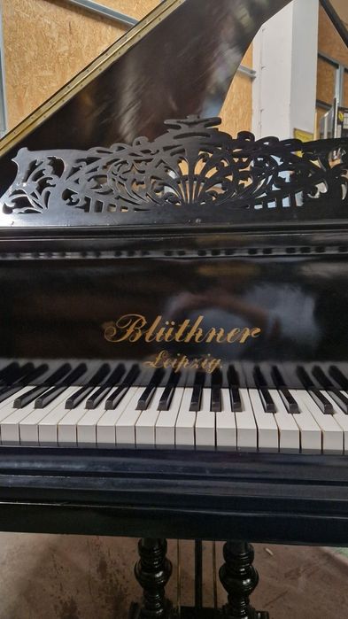 Markowy Fortepian Blüthner 190 Mod. 6.