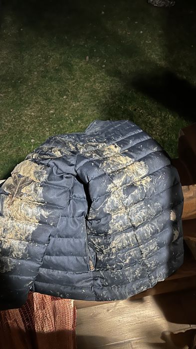 Баленміяга нова колекція 200$  колобарація з армані