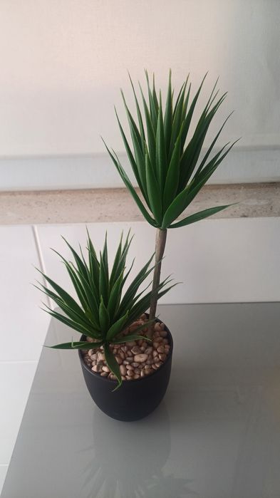 Vaso ikea + planta  (novo)