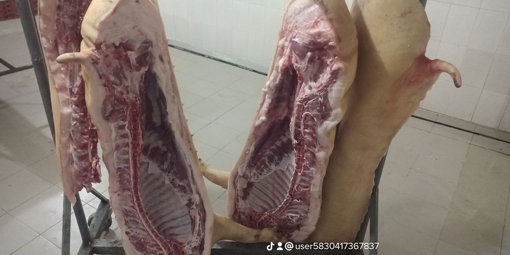 Свіже м'ясо .копченості.Тушки опт і роздріб