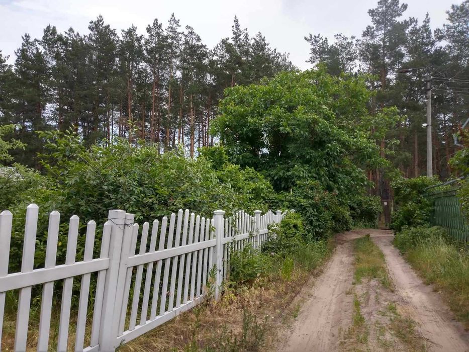 Продаж дачі Київська область с. Вища Дубечня
