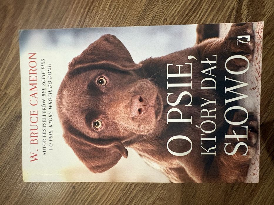 Ksiazka o psie który dał słowo