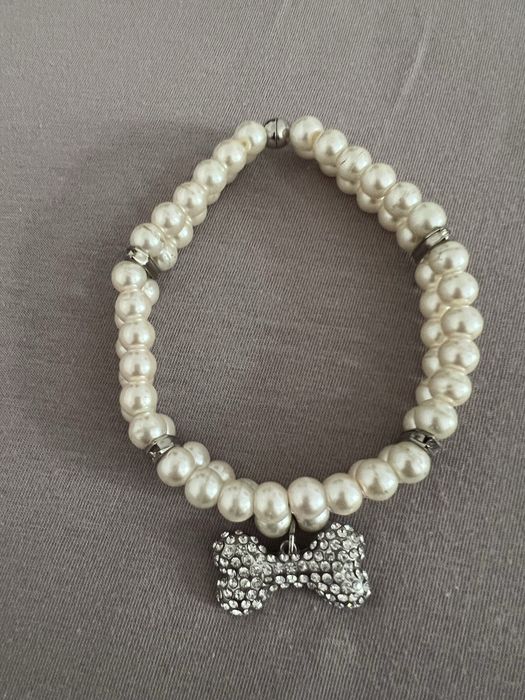 Чокер для собаки