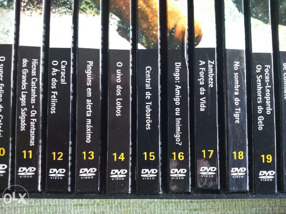 "Endangered Animals" DVD Collection – New, with Book and Cards64286318128769124