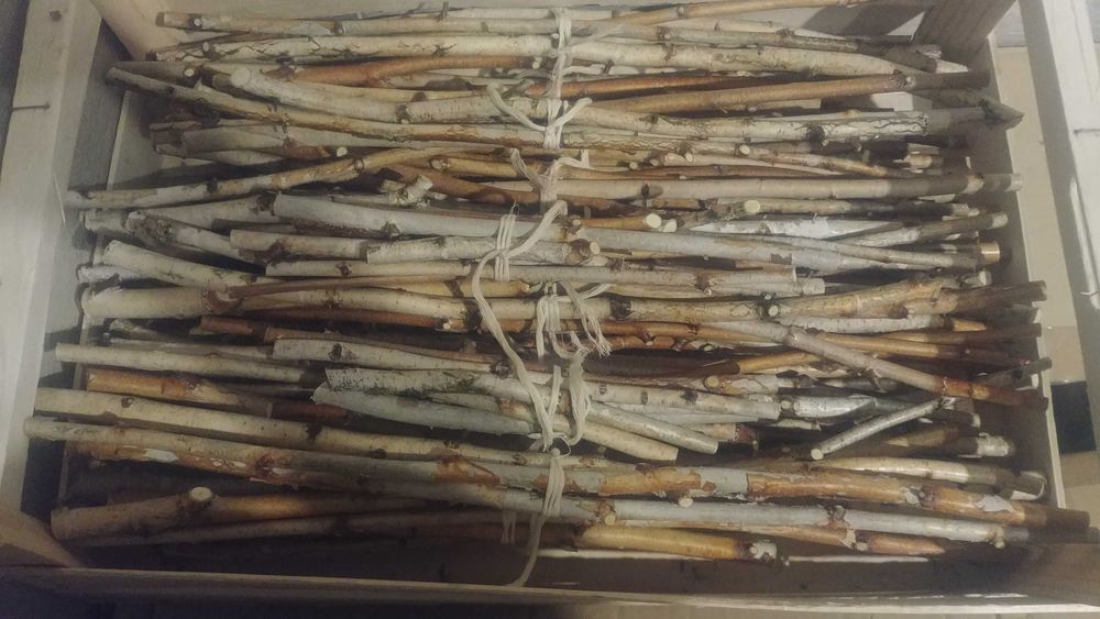 Gałązki Patyczki Brzozowe Przysmaki Dla KOSZATNICZKI i Innych Gryzoni.