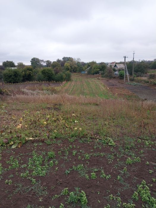 Продаж Земельної ділянки 10 сотих Вулиця Шевченко