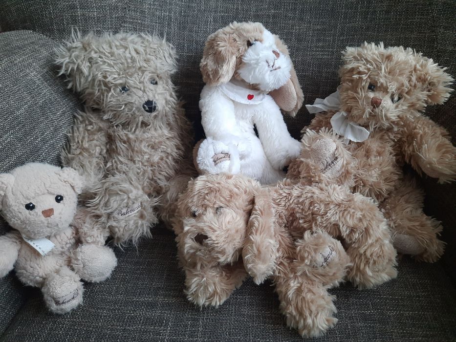 Maskotki Bukowski - misie, pieski